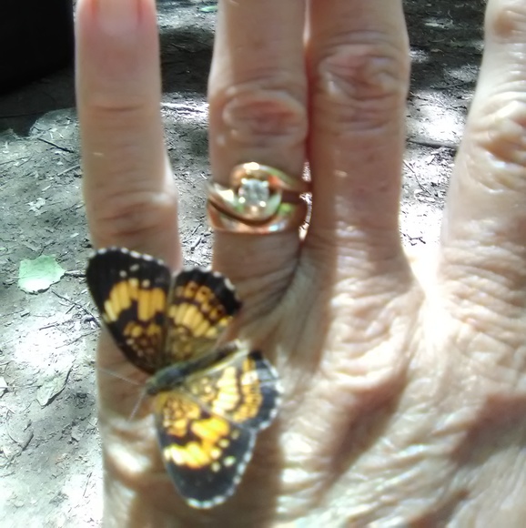 Meet your Posher, Paula - Picture 1 of 1